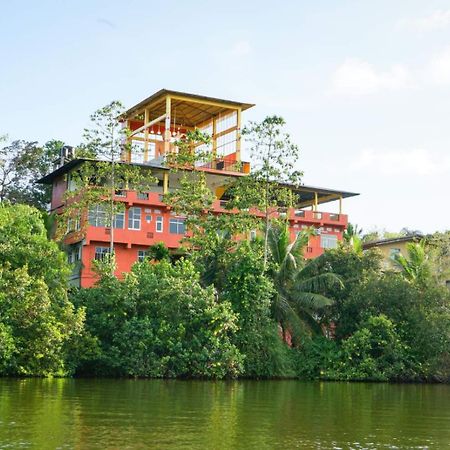 Hotel Madu River Edge Balapitiya Esterno foto
